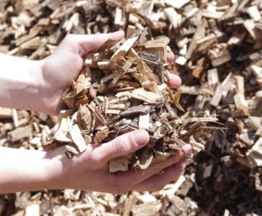 copeau de bois