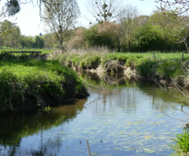 court eau mayenne