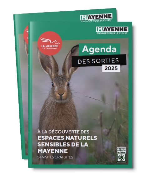 mock up agenda sorties ens 2025
