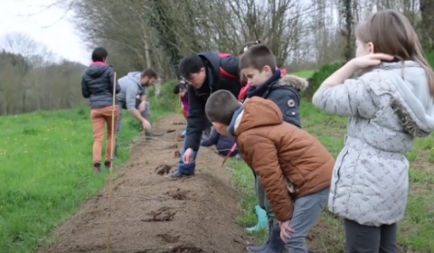 enfant plantation haies